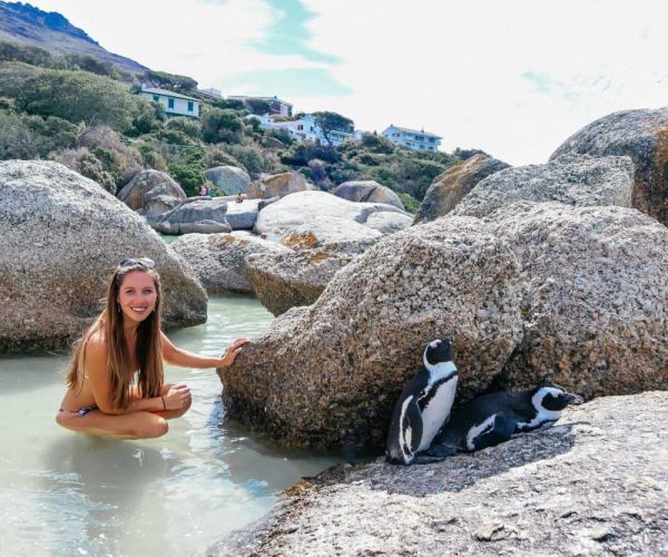 Penguins Peninsula Adventures